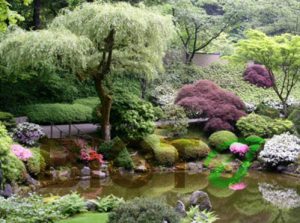 Японские сады в ландшафтном дизайне