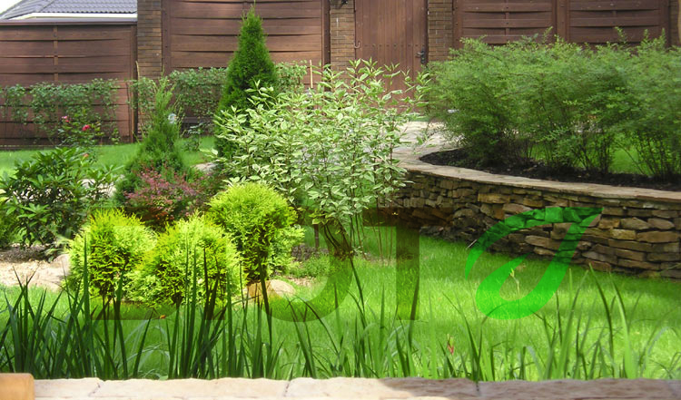 Озеленение участка, территории в Минске по выгодным ценам | БиОТ